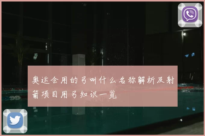 奥运会用的弓叫什么名称解析及射箭项目用弓知识一览
