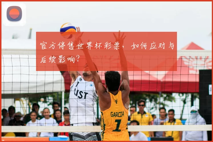 官方停售世界杯彩票，如何应对与后续影响？