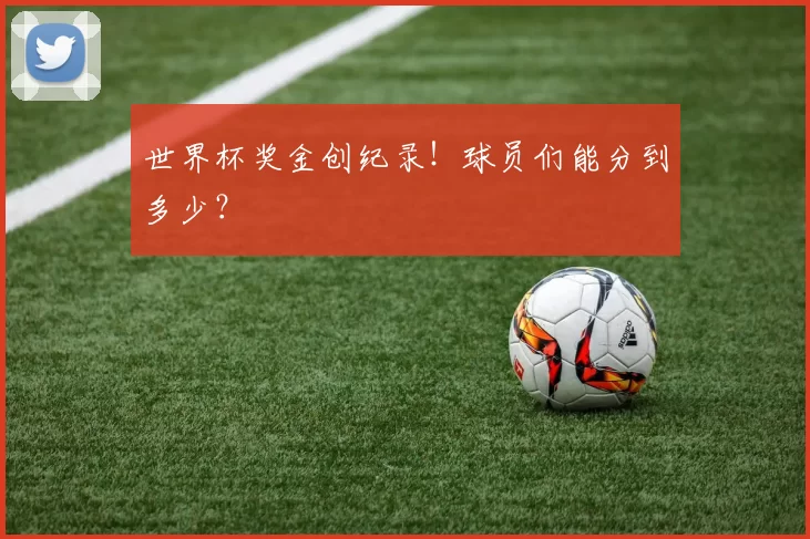 世界杯奖金创纪录!球员们能分到多少?