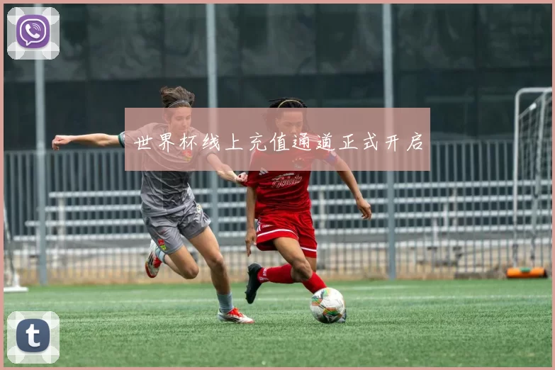 世界杯线上充值通道正式开启
