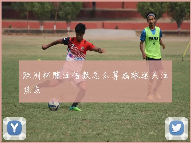 欧洲杯赌注倍数怎么算成球迷关注焦点