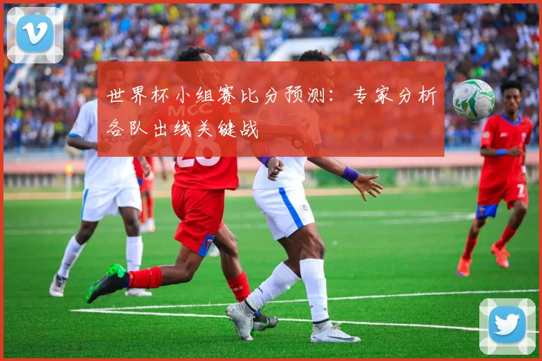 世界杯小组赛比分预测:专家分析各队出线关键战