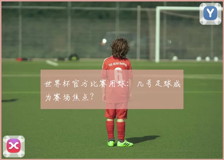 世界杯官方比赛用球：几号足球成为赛场焦点？