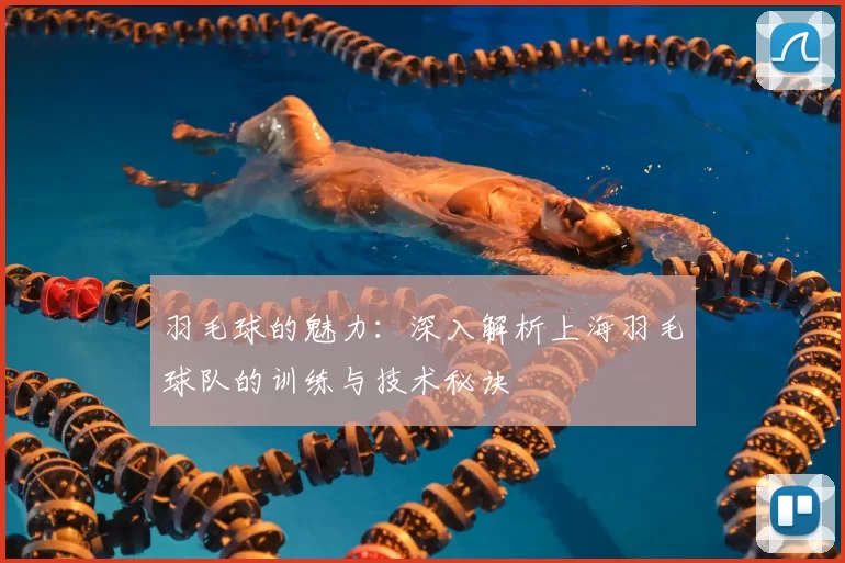 羽毛球的魅力：深入解析上海羽毛球队的训练与技术秘诀