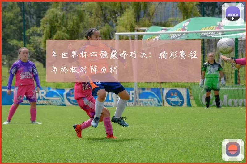 年世界杯四强巅峰对决：精彩赛程与终极对阵分析