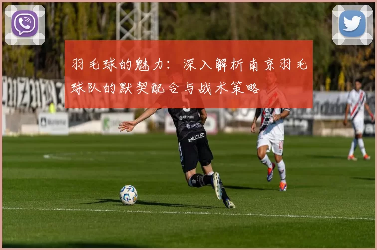 羽毛球的魅力：深入解析南京羽毛球队的默契配合与战术策略