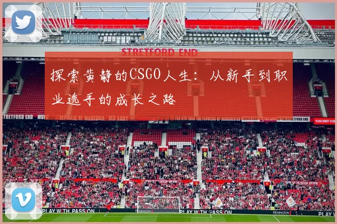 探索黄静的CSGO人生：从新手到职业选手的成长之路