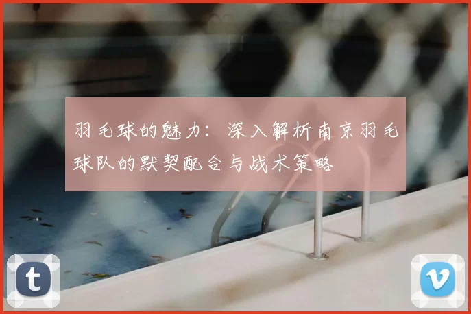 羽毛球的魅力：深入解析南京羽毛球队的默契配合与战术策略