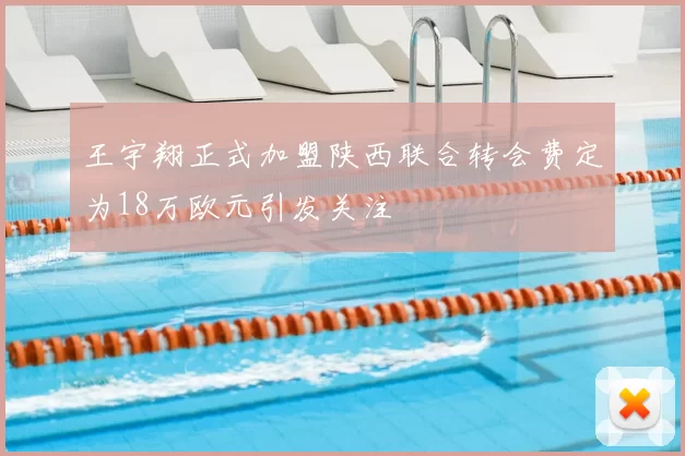 王宇翔正式加盟陕西联合转会费定为18万欧元引发关注