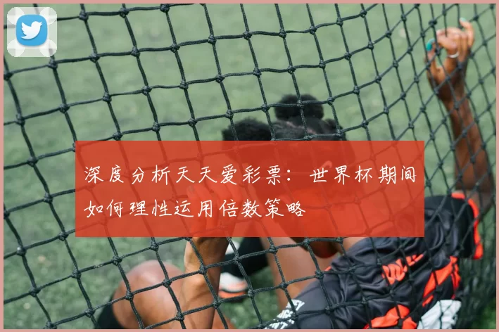 深度分析天天爱彩票:世界杯期间如何理性运用倍数策略
