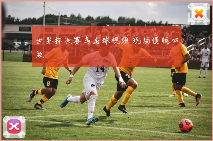 世界杯决赛乌龙球视频 现场慢镜回放