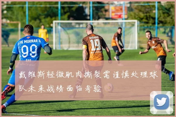 戴维斯轻微肌肉撕裂需谨慎处理球队未来战绩面临考验