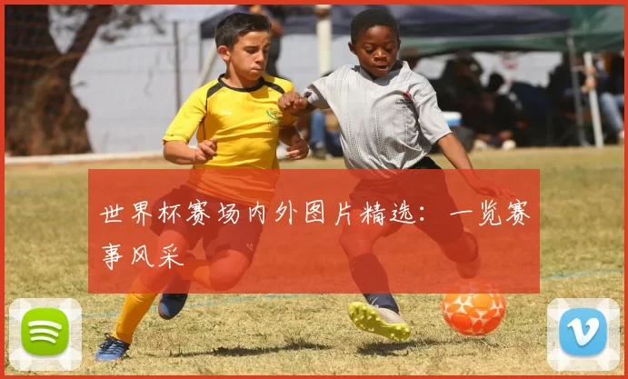 世界杯赛场内外图片精选：一览赛事风采