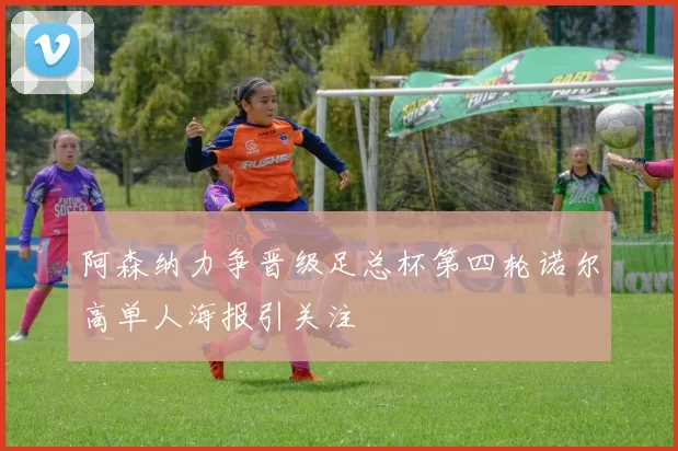 阿森纳力争晋级足总杯第四轮诺尔高单人海报引关注