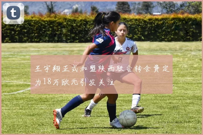 王宇翔正式加盟陕西联合转会费定为18万欧元引发关注
