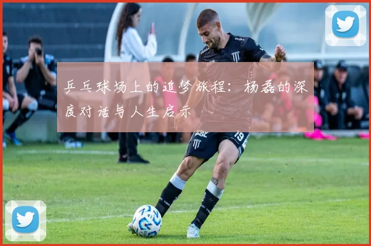 乒乓球场上的追梦旅程：杨磊的深度对话与人生启示