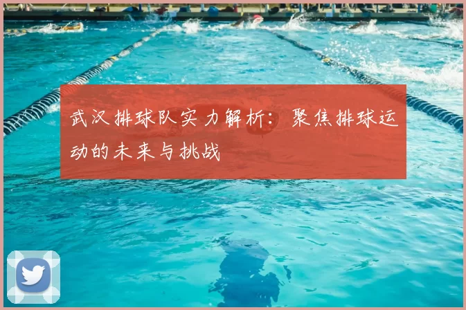 武汉排球队实力解析:聚焦排球运动的未来与挑战