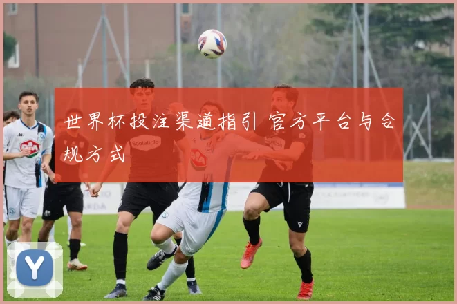 世界杯投注渠道指引 官方平台与合规方式