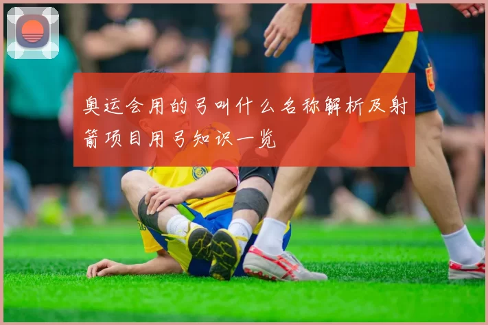 奥运会用的弓叫什么名称解析及射箭项目用弓知识一览