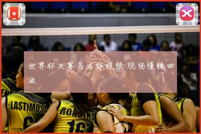 世界杯决赛乌龙球视频 现场慢镜回放