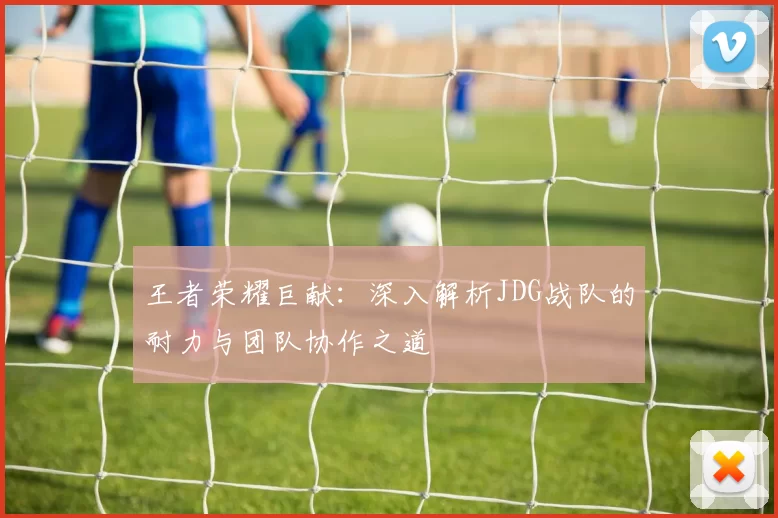 王者荣耀巨献：深入解析JDG战队的耐力与团队协作之道