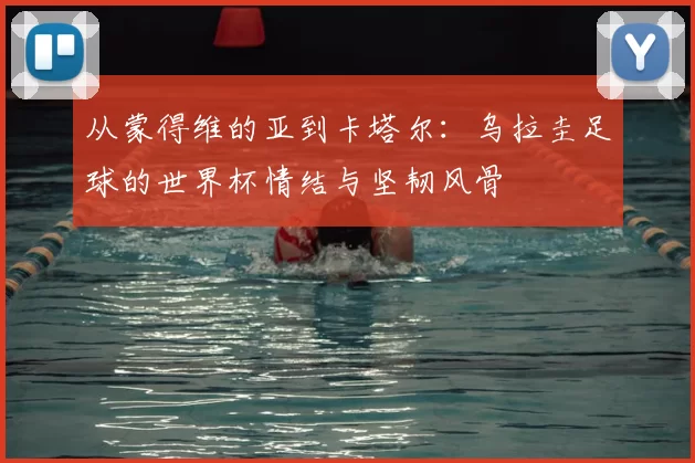 从蒙得维的亚到卡塔尔：乌拉圭足球的世界杯情结与坚韧风骨