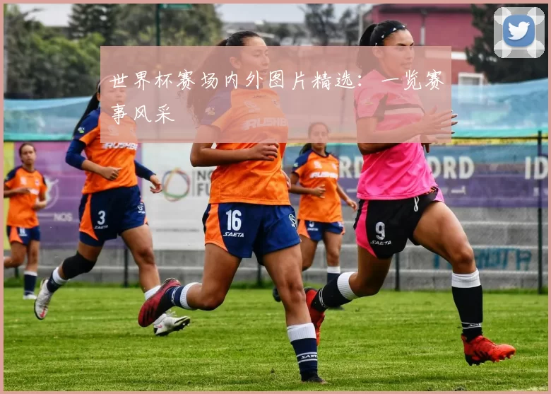 世界杯赛场内外图片精选：一览赛事风采