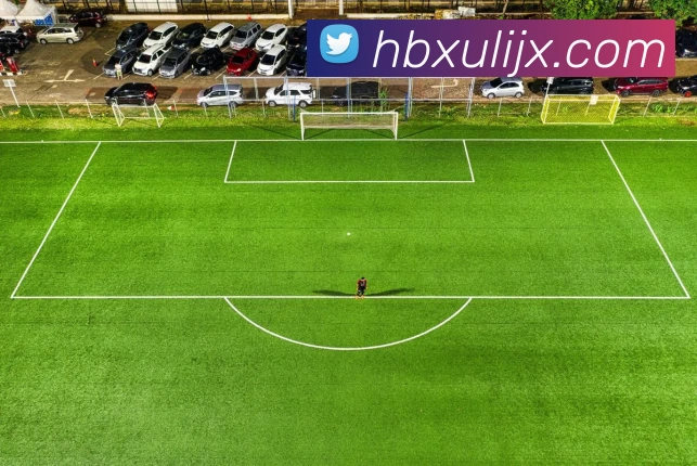 企业概况